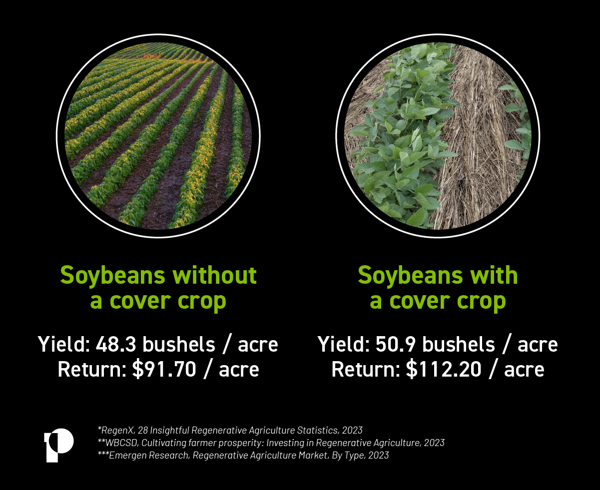 a comparissons image of soybean yield with and without a cover crop with yiels and return statistics