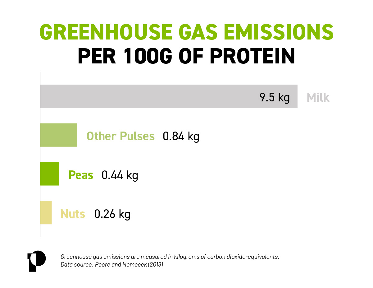 a bar chart showing the green house gas emissions per 100g of protein for milk, peas, nuts, and other pulses