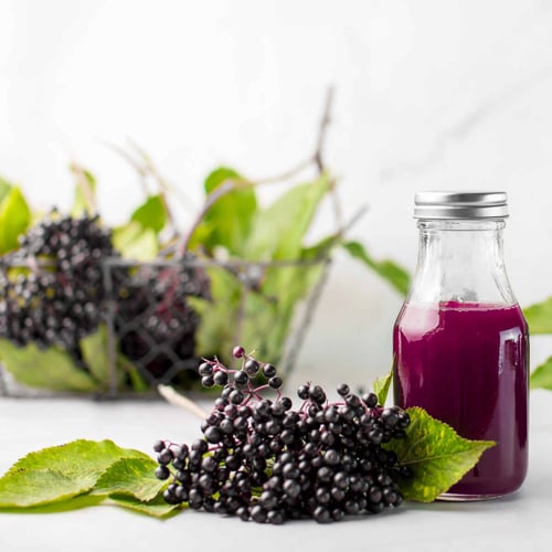 Elderberry berries next to glass bottle with dark purple elderberry syrup