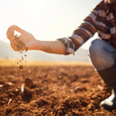 Man kneels in field and lets soil run through his hands onto the ground.
