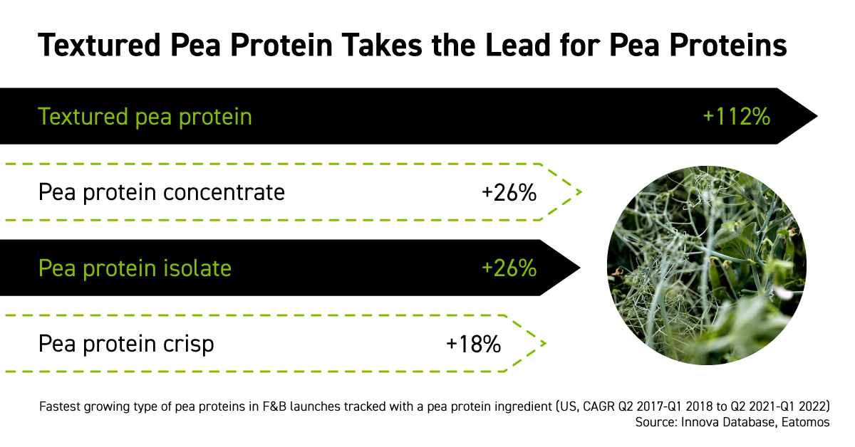 Textuted pea protein vs. other pea protein demand