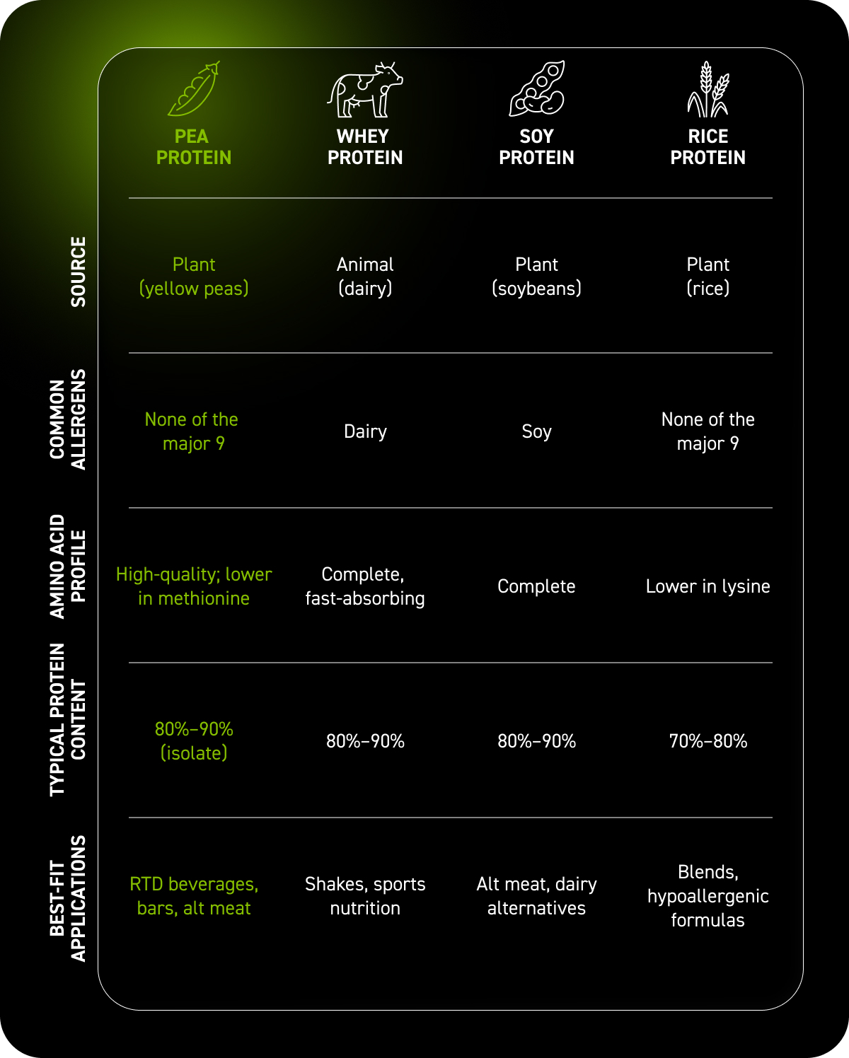 pea-protein-vs-other-proteins-infogrpahic