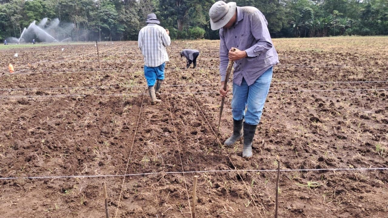 PURIS Winter Nursery Farmers