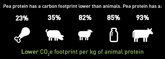 Pea Protein C02E Footprint Compared to Animal Protein-02