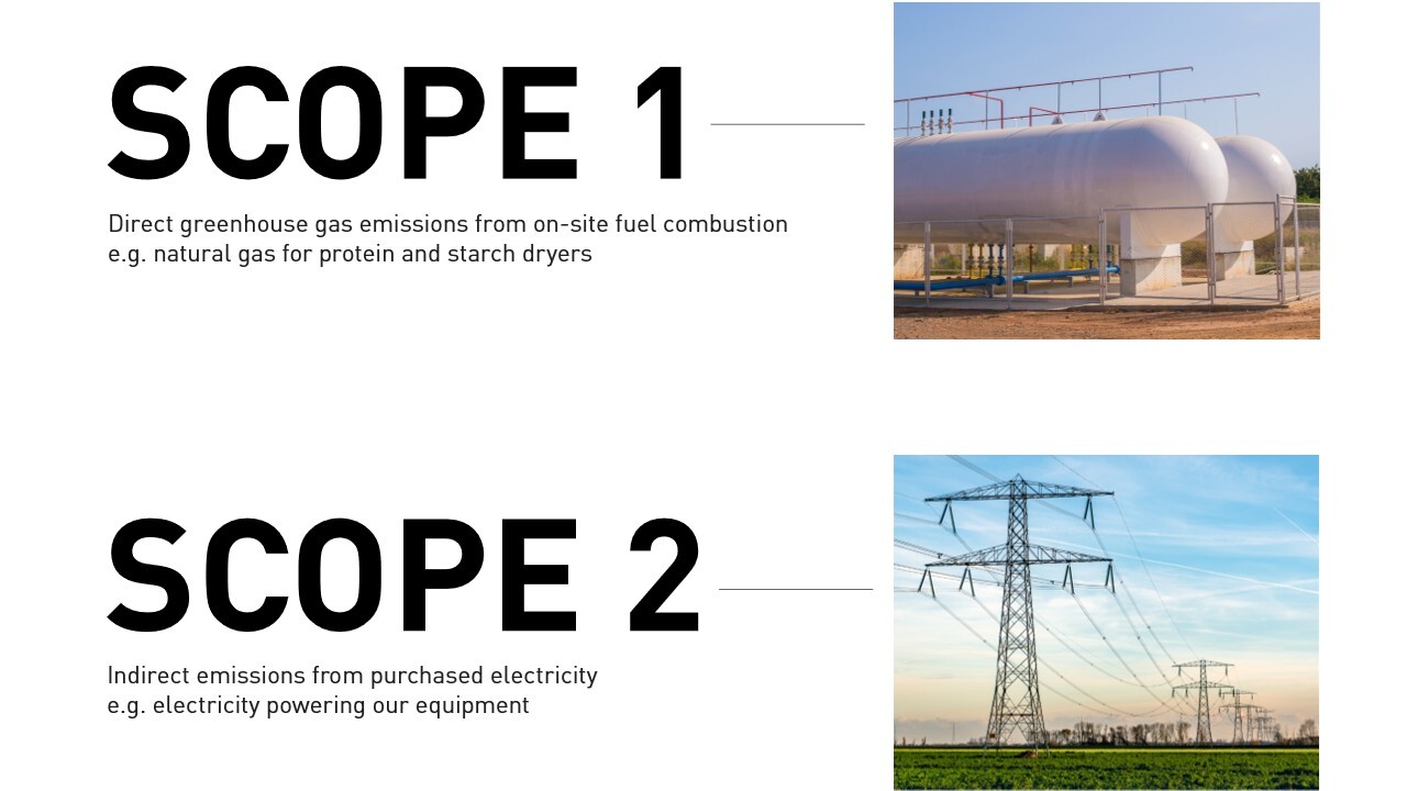 Scope 1 and 2
