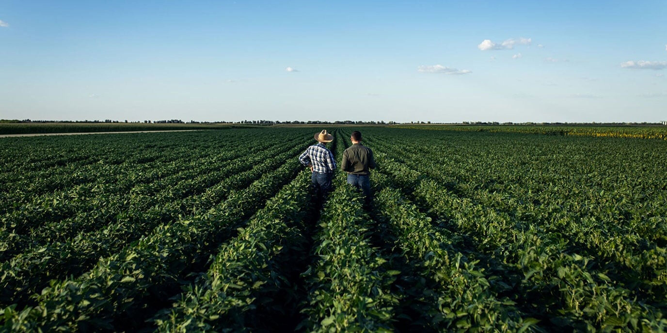 two-farmers-in-soy-field-2x