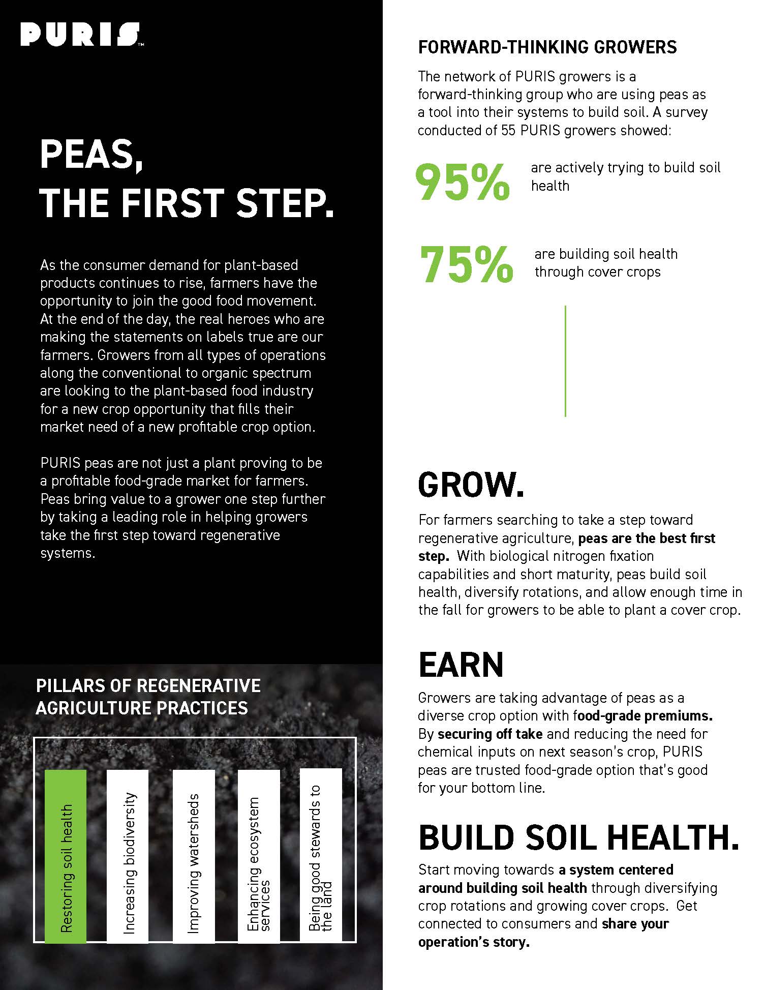 Peas, the First Step