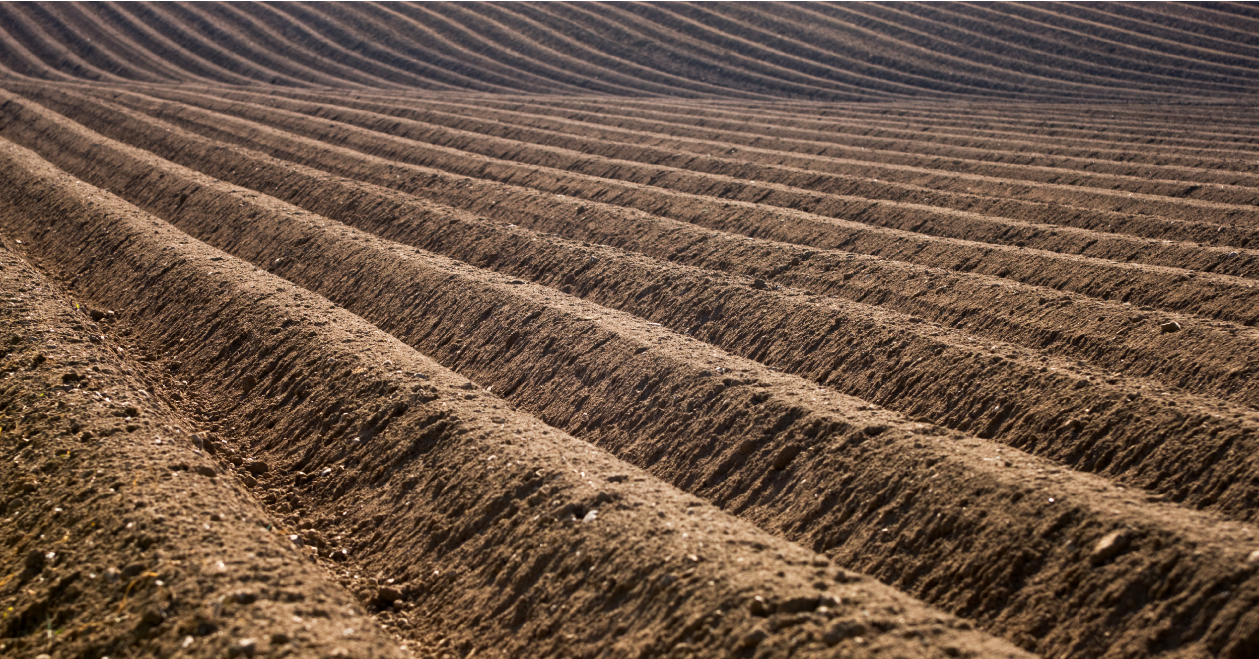 Heavy Metals? Here's What You Need to Know About Plant-Based Ingredients.