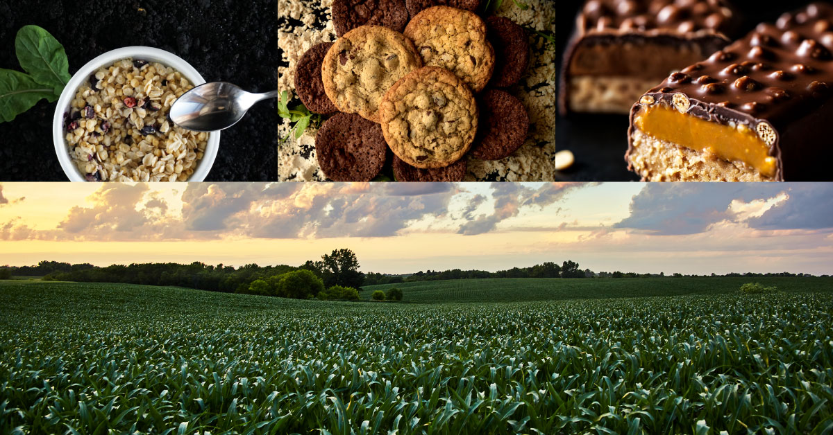90% of Consumers Will Pay More for Regenerative Agriculture Products — But Can’t Find Them