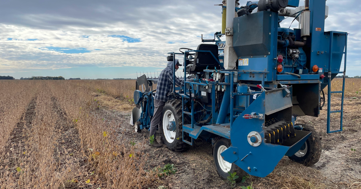 Turning Harvest Observations Into Next Year's Success